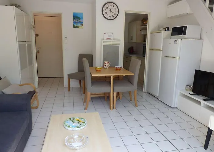 Semesterbostad Mazet Climatise Avec Terrasse Au Lavandou - Fr-1-308-78 *